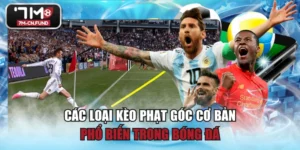 Các Loại Kèo Phạt Góc Cơ Bản, Phổ Biến Trong Bóng Đá