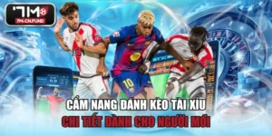 Cẩm Nang Đánh Kèo Tài Xỉu Chi Tiết Dành Cho Người Mới